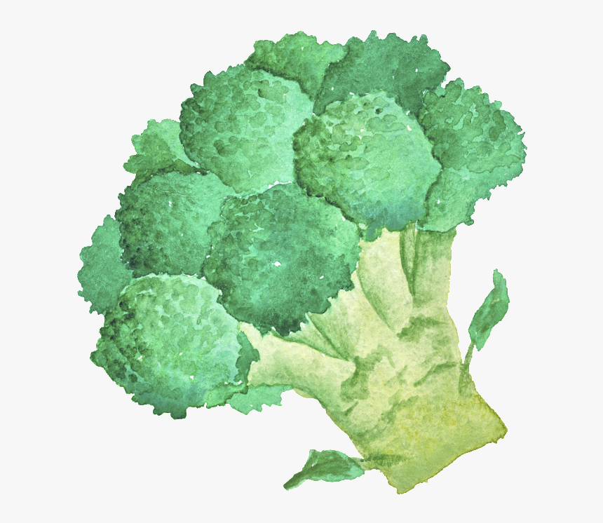 Green Hand Painted Broccoli Cartoon Vegetable Kitchen - Blocoli Cartoon No Background, HD Png Download
