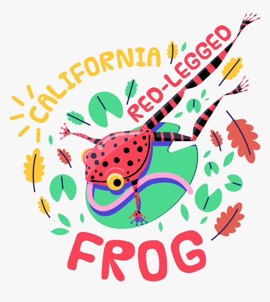 Even If You Re A Longtime San Francisco Resident, Chances, HD Png Download