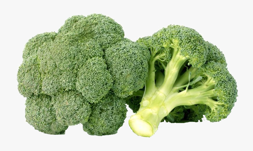 Green Broccoli Png Free Background Broccoli Png Transparent Png Transparent Png Image Pngitem