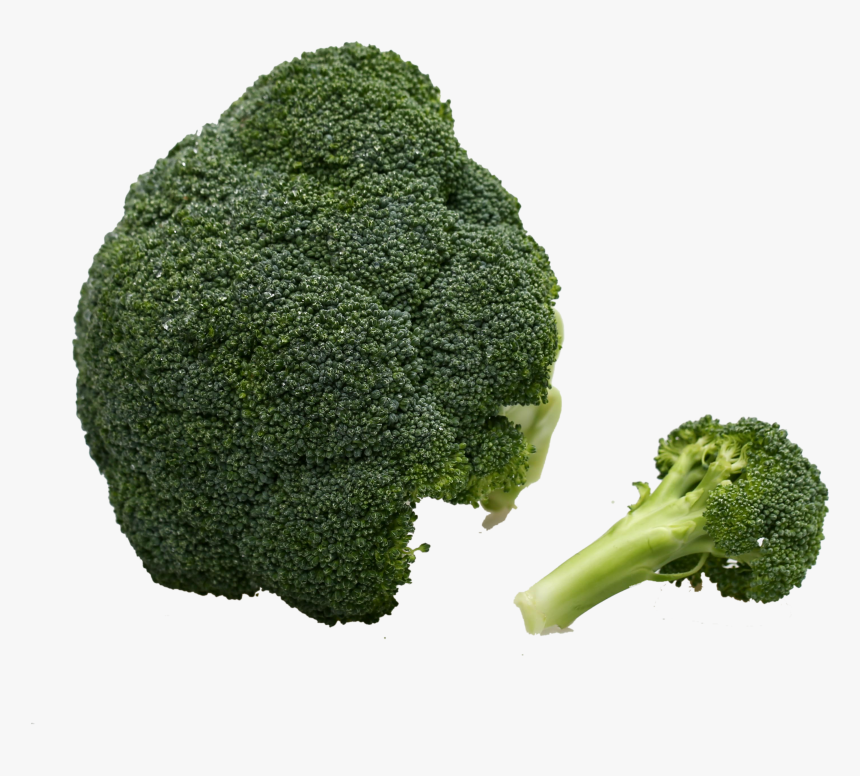 Broccoli Vegetable Immune System - Vegetable, HD Png Download