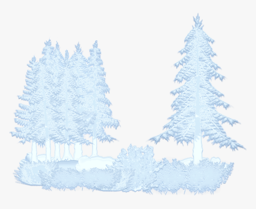 Arboles Con Nieve Png, Transparent Png