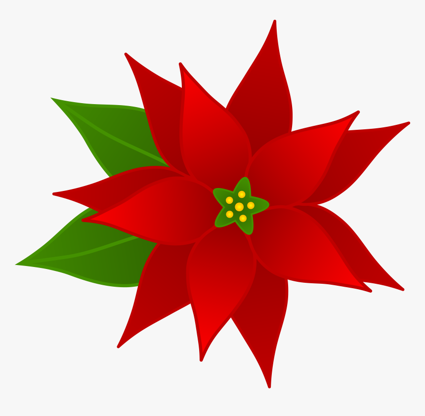 Christmas Poinsettia Flower - Holiday Clip Art, HD Png Download