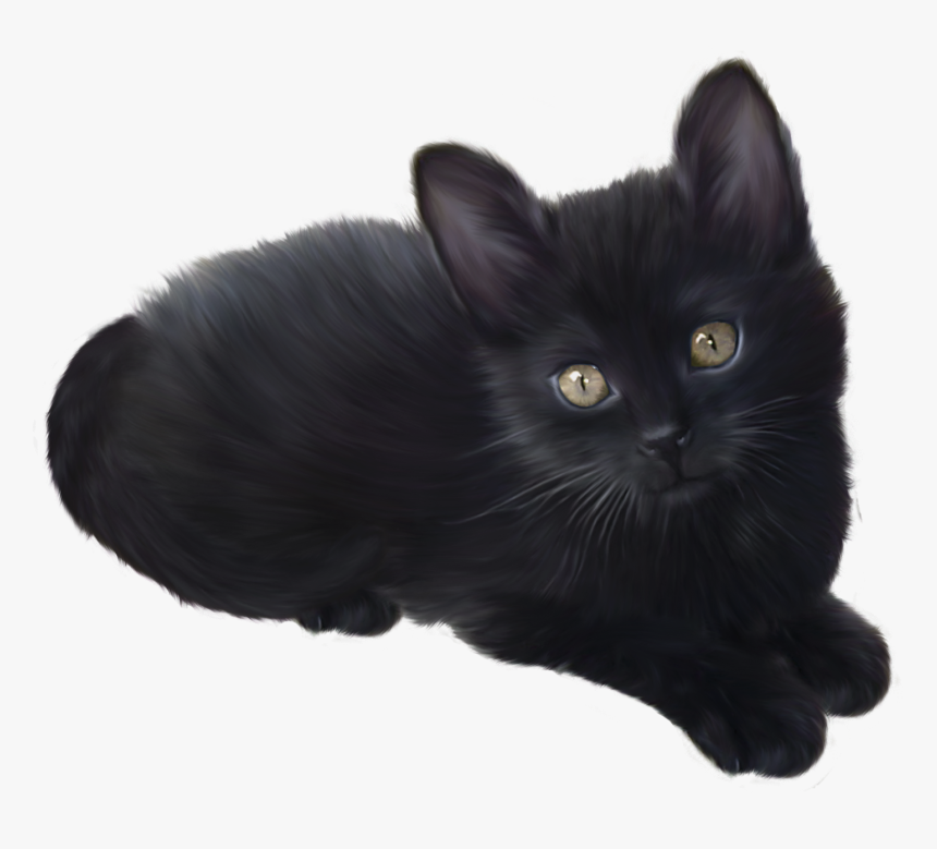 Kitten Png - Black Kitten Transparent Background, Png Download