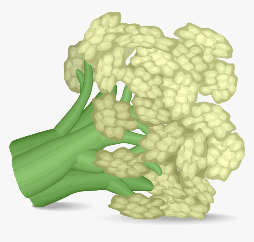 Cauliflower Svg, HD Png Download