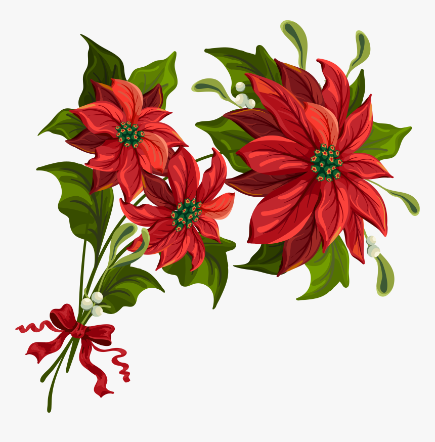 Transparent Christmas Png Poinsettia Clipart - Flower Related To Christmas, Png Download