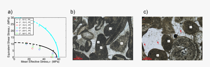 Solution Transfer In Carbonate Rocks Exerts Significant, HD Png Download