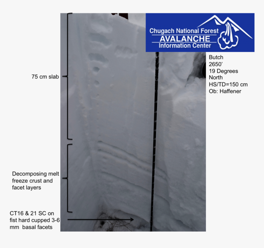 Tile, HD Png Download