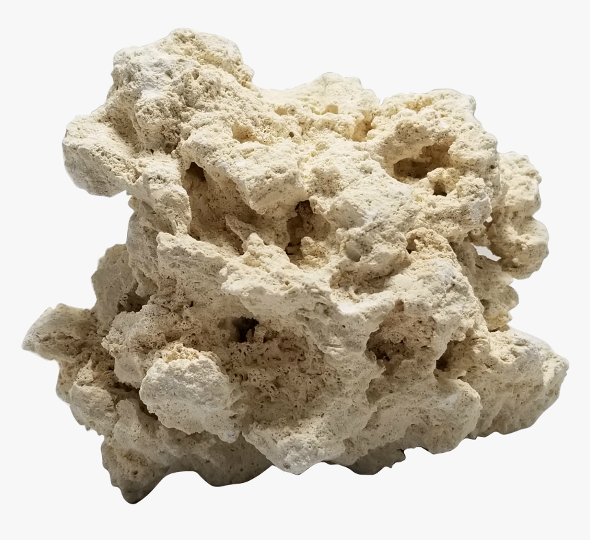 Rock Aquarium Png, Transparent Png