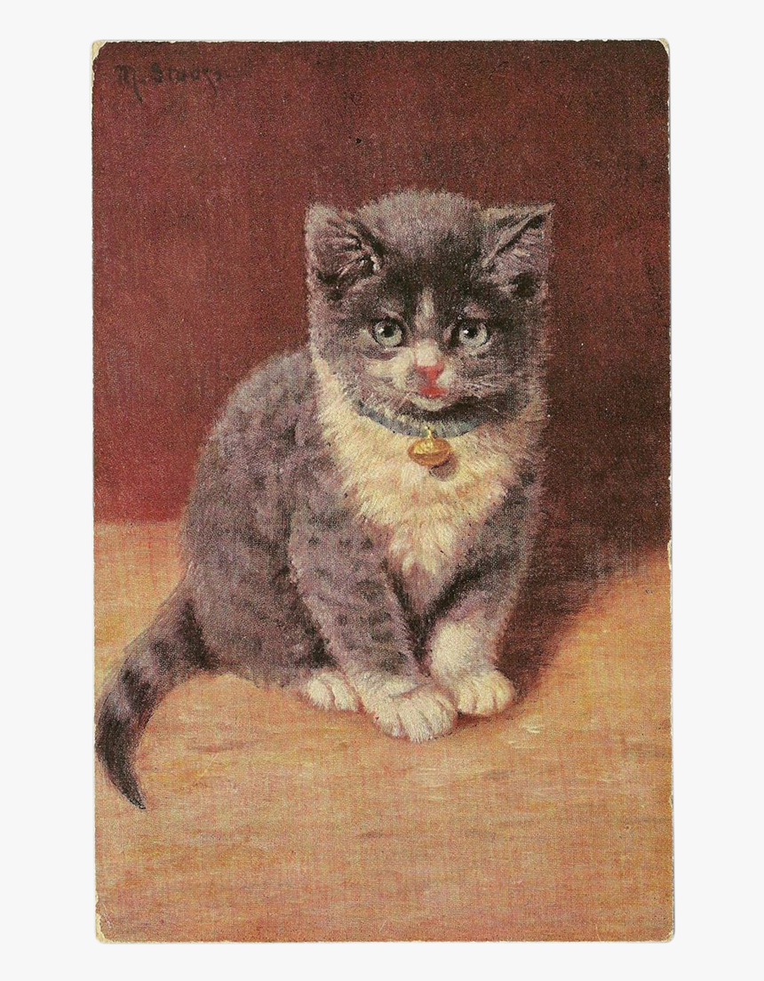 Clip Art Vintage Postcard Signed M - Kitten, HD Png Download