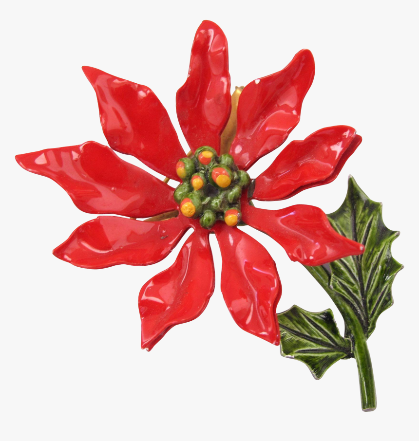 1641 X 1641 - Poinsettia, HD Png Download