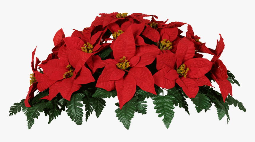 Poinsettias Clipart Poinsettia Leave - Poinsettia Transparent, HD Png Download