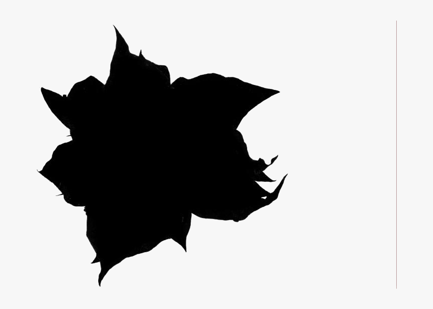 Poinsettia Flower With Leaves Sketch Png - Flower, Transparent Png