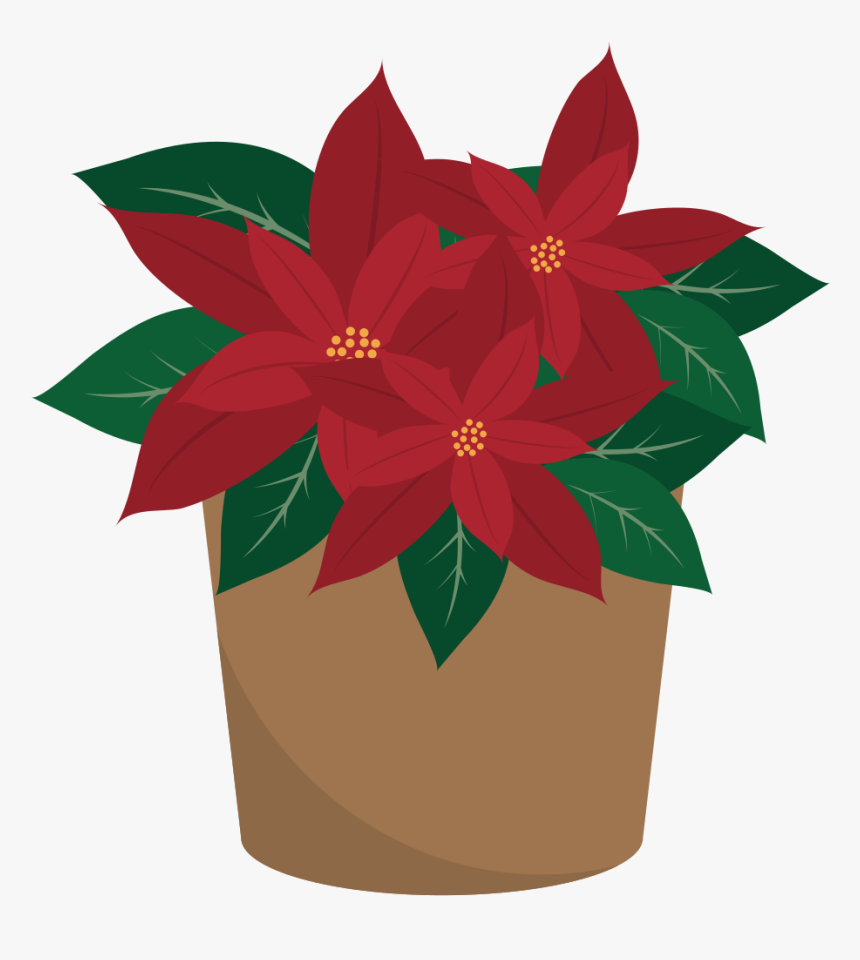 Poinsettia, HD Png Download