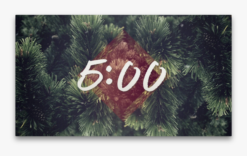 Snow Forest Png, Transparent Png