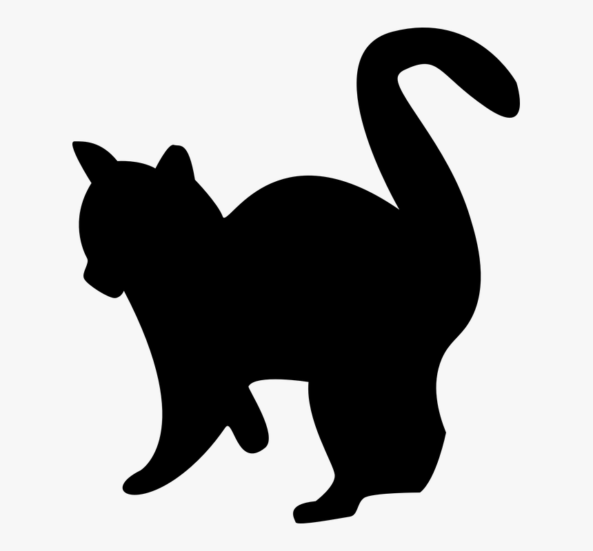 Kitten, Silhouette, Cat, Black, White, Pet - Gato Preto E Branco Png, Transparent Png