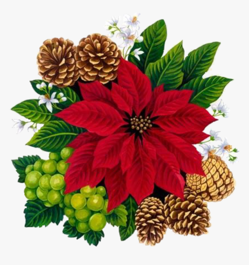 Vintage Christmas Rose Free Picture - Vintage Christmas Clipart, HD Png Download