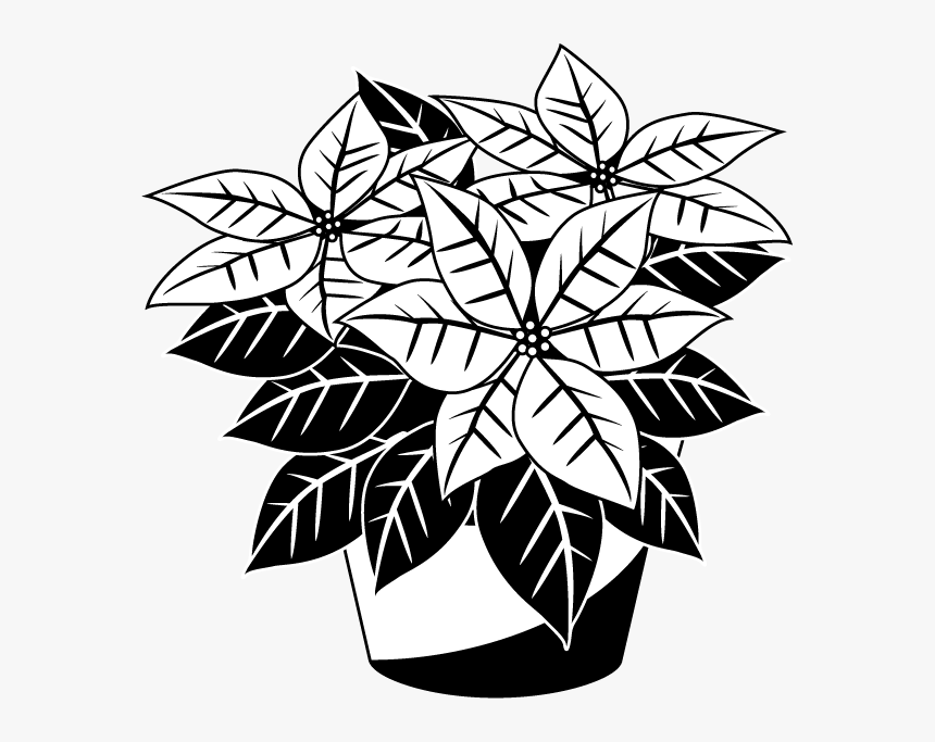 Clipart Smiley Face Thumbs Up - Poinsettia Clip Art Free Black And White, HD Png Download