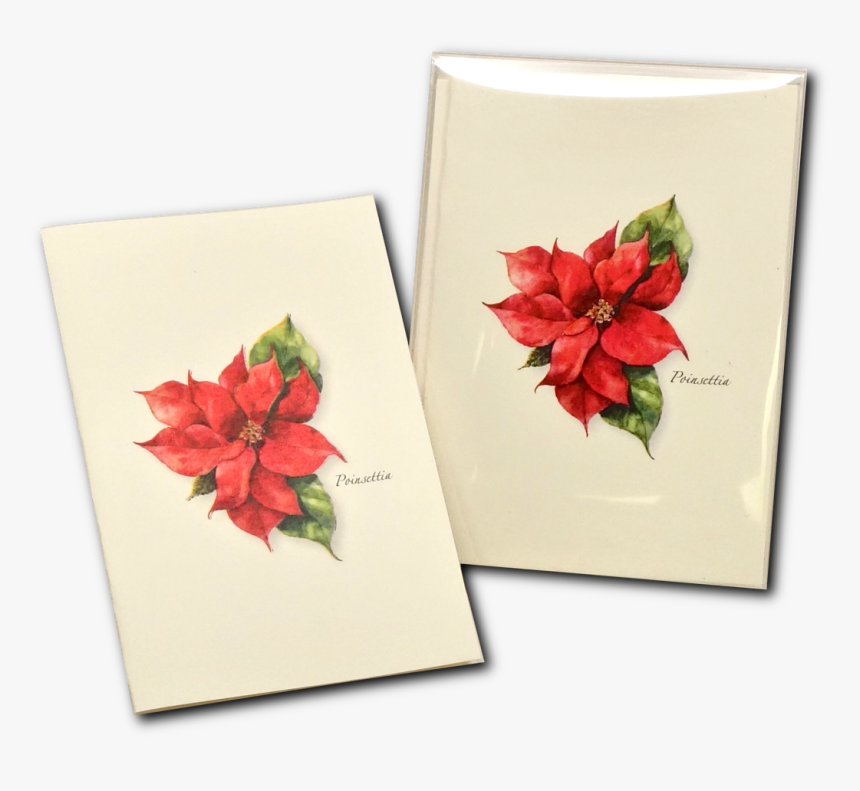 Pointsettia Png, Transparent Png