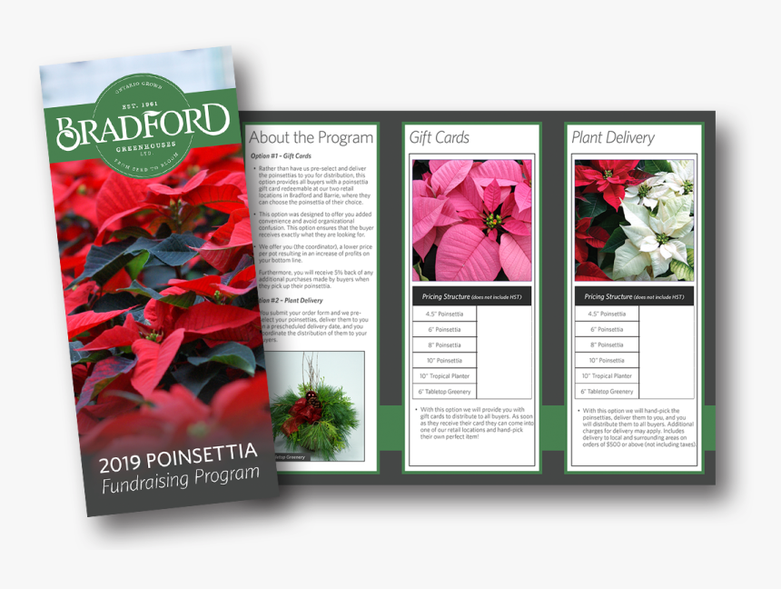 Poinsettia, HD Png Download