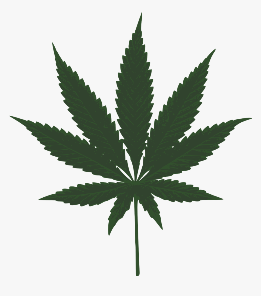 Marijuana, Leaf, Green, Pot, Cannabis, Plant, Leaves - Marijuana Leaf Clipart, HD Png Download