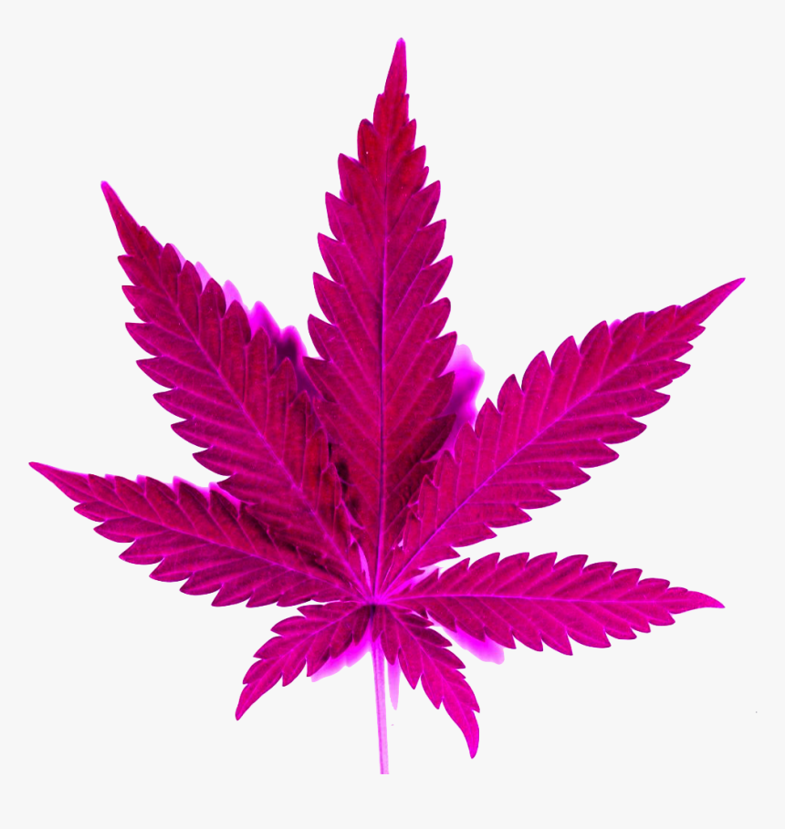 Marijuana Clipart Transparent - Weed Png, Png Download