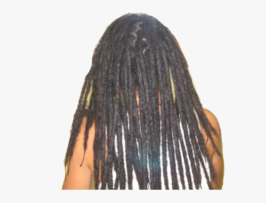Dreadlocks Auckland - Dreadlocks, HD Png Download
