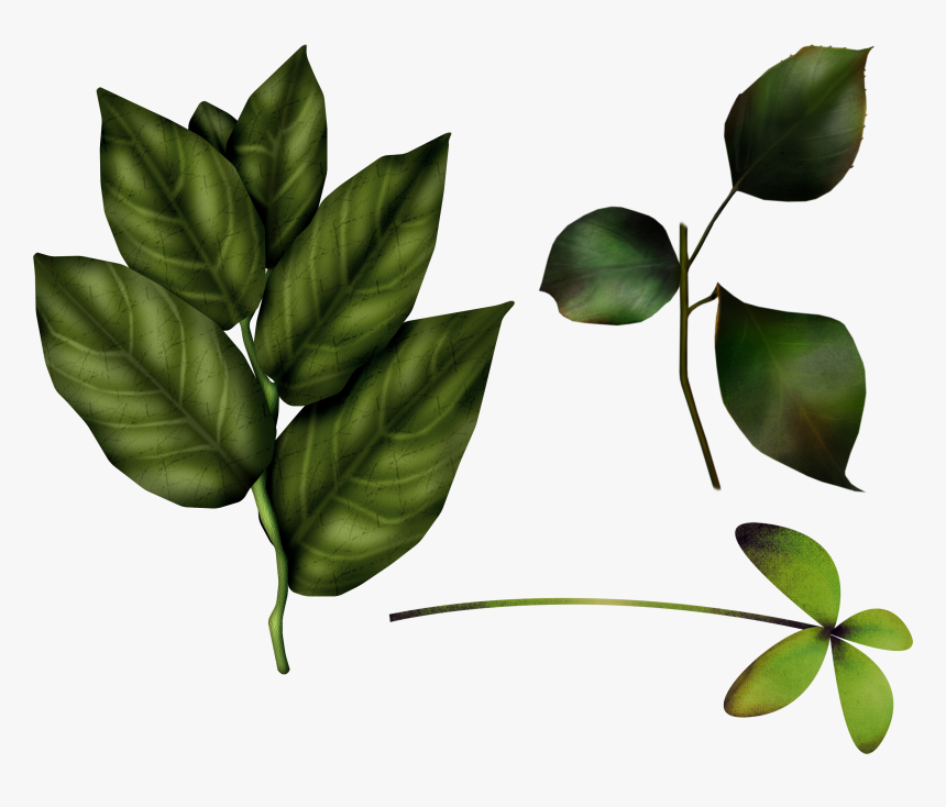 Green Leaf Png - Baby Winnie The Pooh, Transparent Png