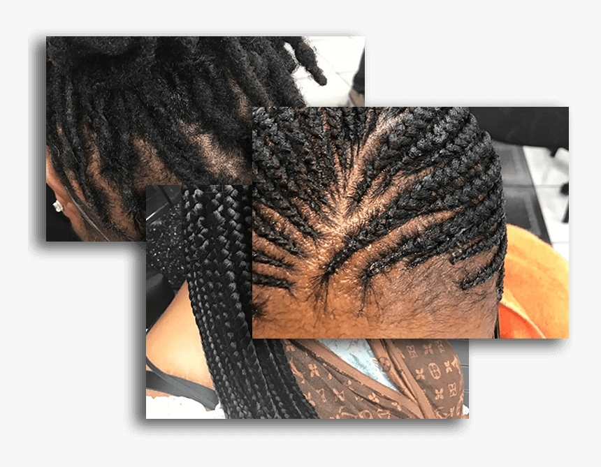 Dreadlocks And Retwist, Micro Braids, Pick And Drop, - Lace Wig, HD Png Download