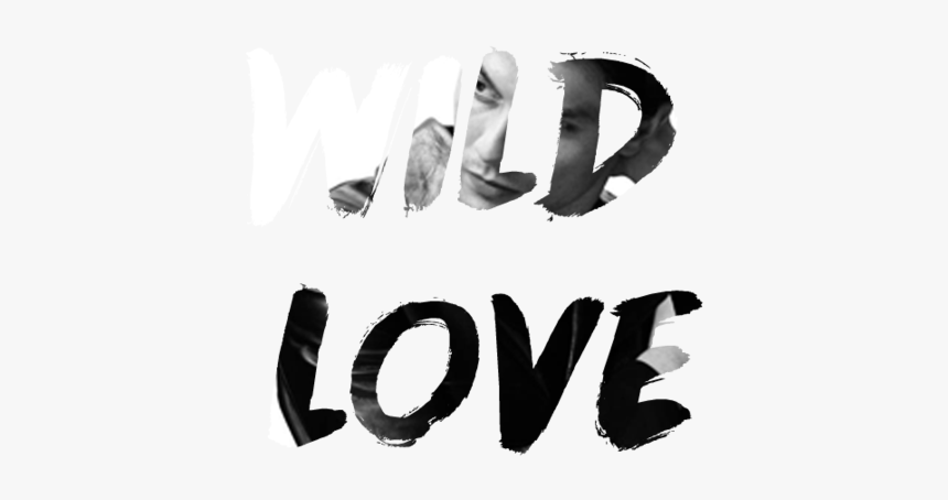 I Wanna Give You Wild Love
the Kind That Never Slows - Calligraphy, HD Png Download