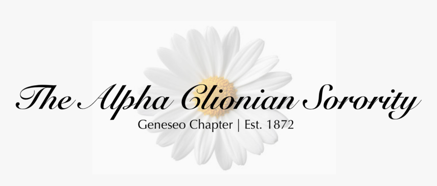 Clearance Sale , Png Download - Santa Barbara Zoo, Transparent Png