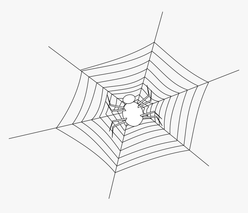 Transparent Cobweb Png - Spider Web Svg, Png Download
