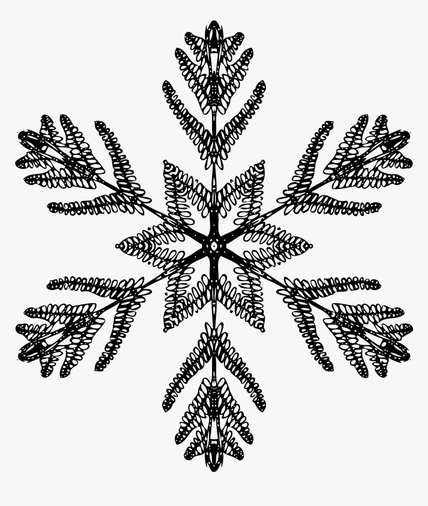 Spider Web Vector Png, Transparent Png