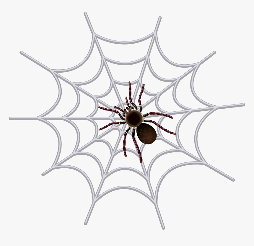 Halloween Spider Web Png, Transparent Png