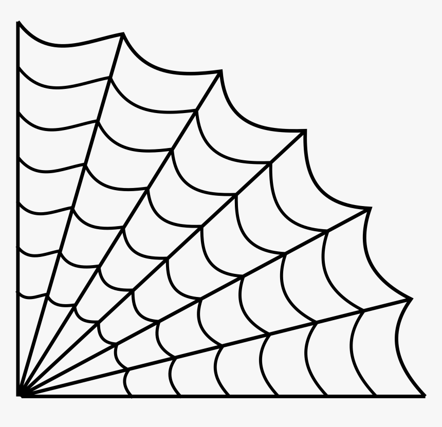 Drawn Spider Web Line Drawing - Spider Web Transparent Background, HD Png Download