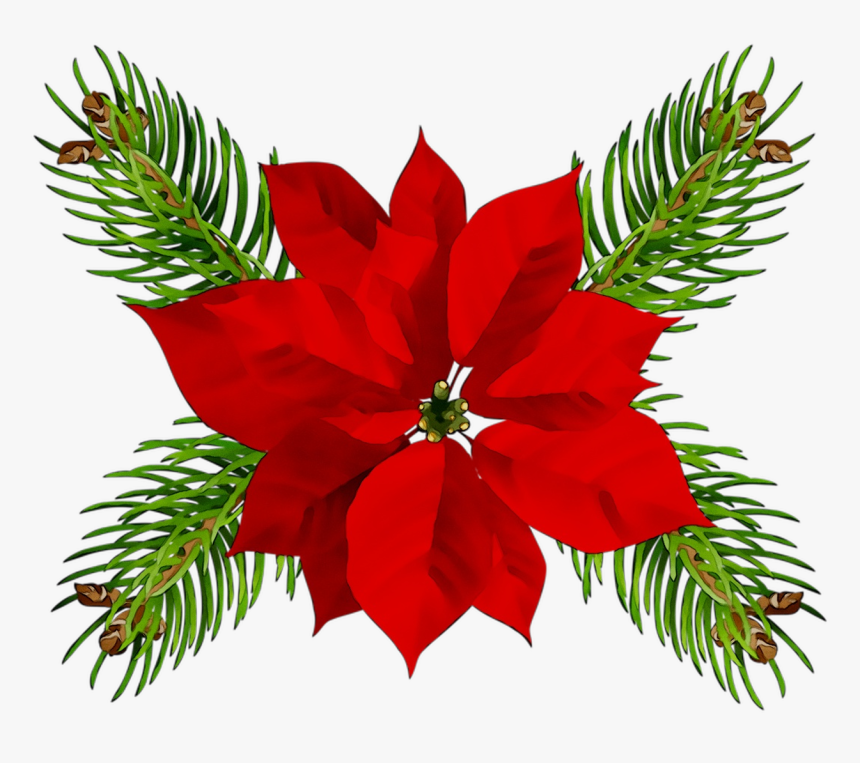 Poinsettia Christmas Day Christmas Ornament Portable - Christmas Art Png Transparent, Png Download