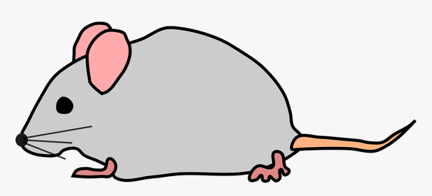 Mouse Clipart Png, Transparent Png