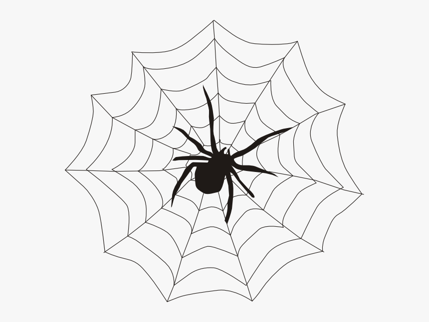 Halloween Spider Web Clipart - Spider On A Web, HD Png Download