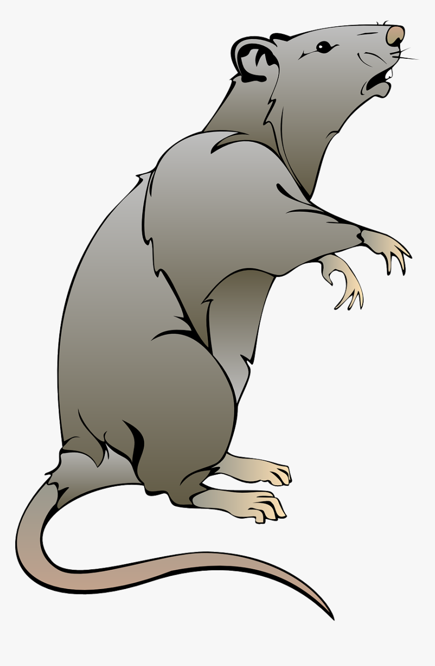 Rat Clipart, HD Png Download