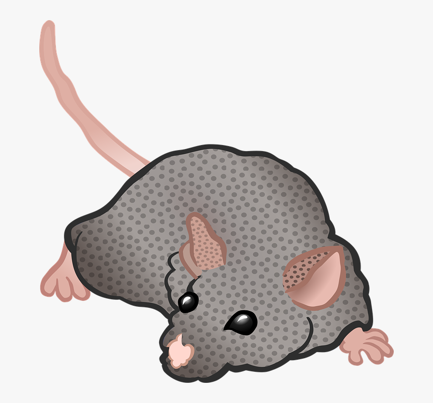 Mouse, Animal, Rodent, Cartoon, Grey, Rat - Brown Rat Transparent Rat Face Tee Shirt, HD Png Download