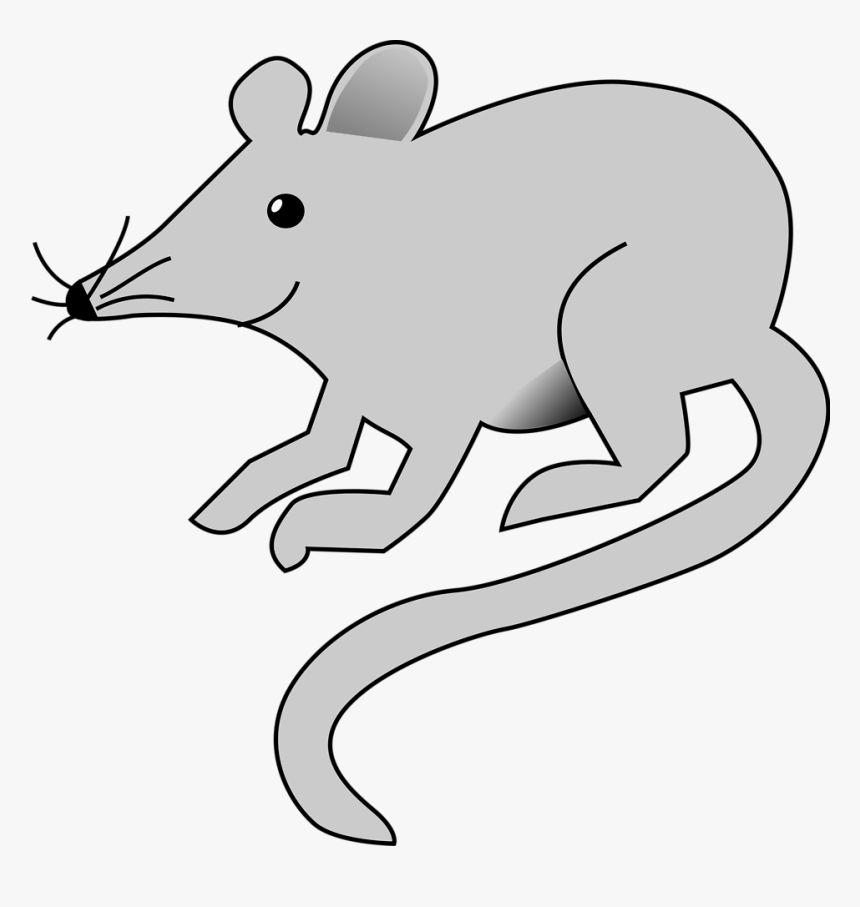 Transparent Mouse Clipart - Cartoon Mouse Transparent Background, HD Png Download