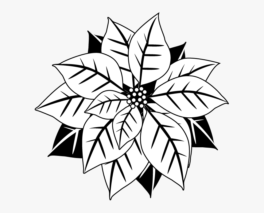 Poinsetta Clip Black And White - Poinsettia Black And White Png, Transparent Png