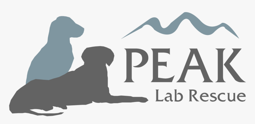 Contest Winning Design - Spacelabs Healthcare, HD Png Download