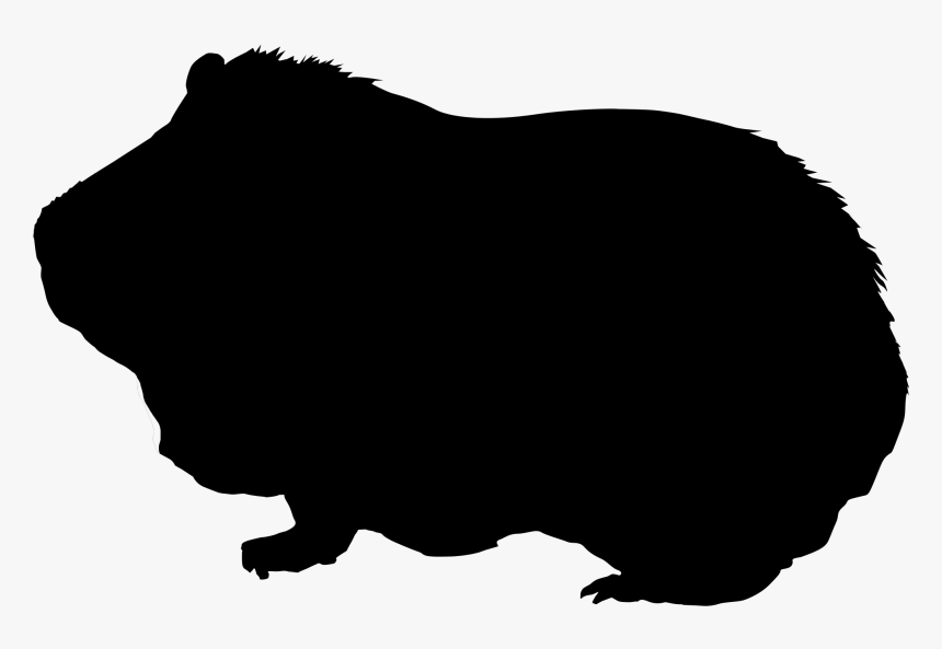 Guinea Pig Silhouette - Guinea Pig Silhouette Clipart, HD Png Download
