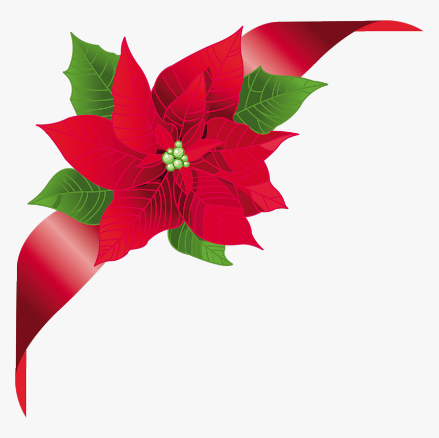 Фотки Christmas Frames, Christmas Art, Flower Clipart, - Christmas Floral Vector Png, Transparent Png