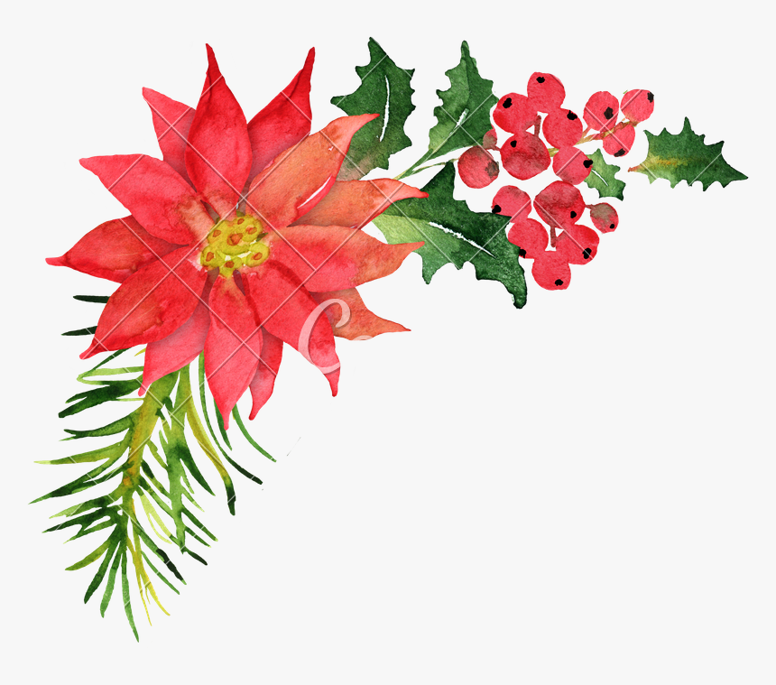 Christmas Bouquet Png - Poinsettia Christmas Wreath Watercolor, Transparent Png