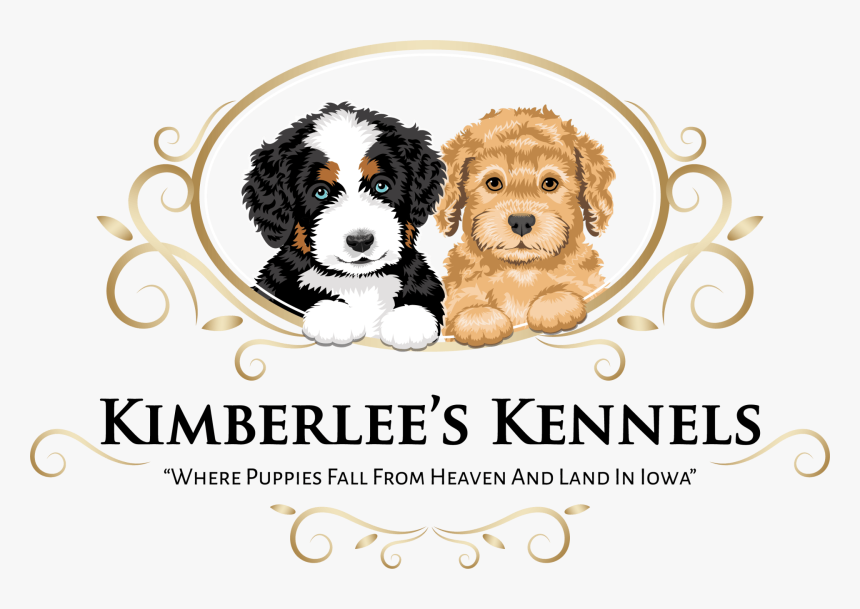 Companion Dog, HD Png Download