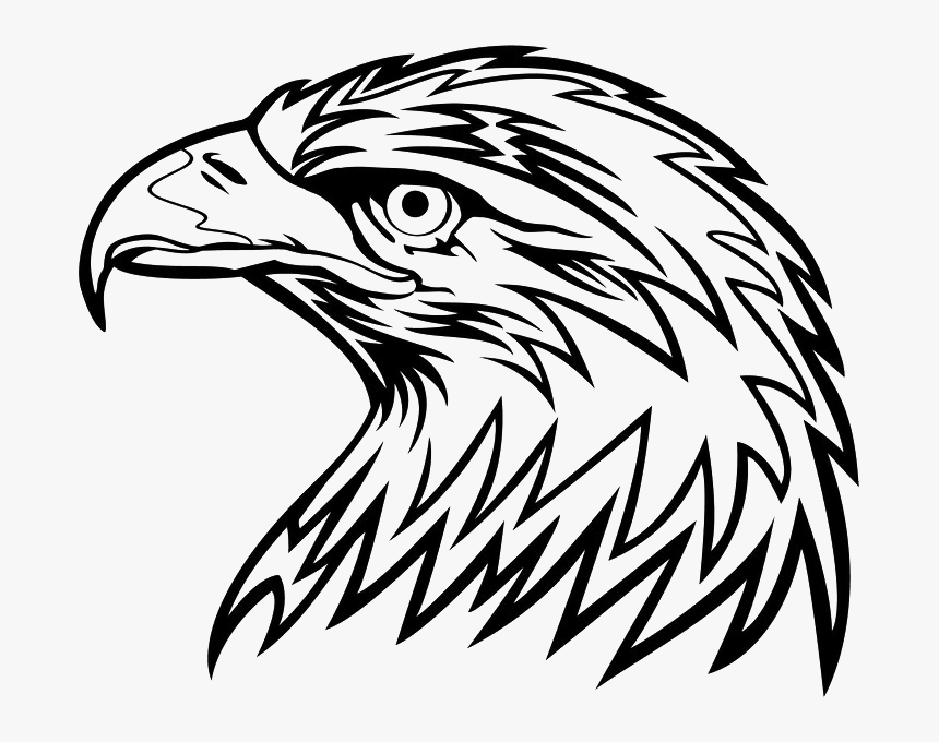 Eagle Head Png Picture - Cool Black And White Clipart, Transparent Png