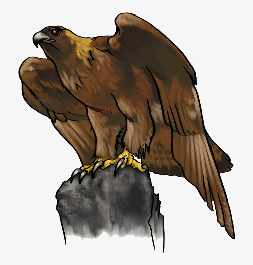 Usm Golden Eagle Clipart - Clip Art Golden Eagle, HD Png Download