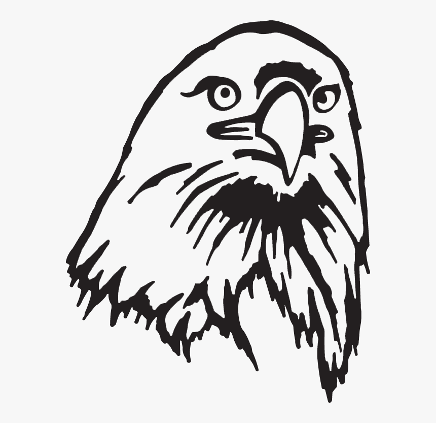 Hawk, HD Png Download