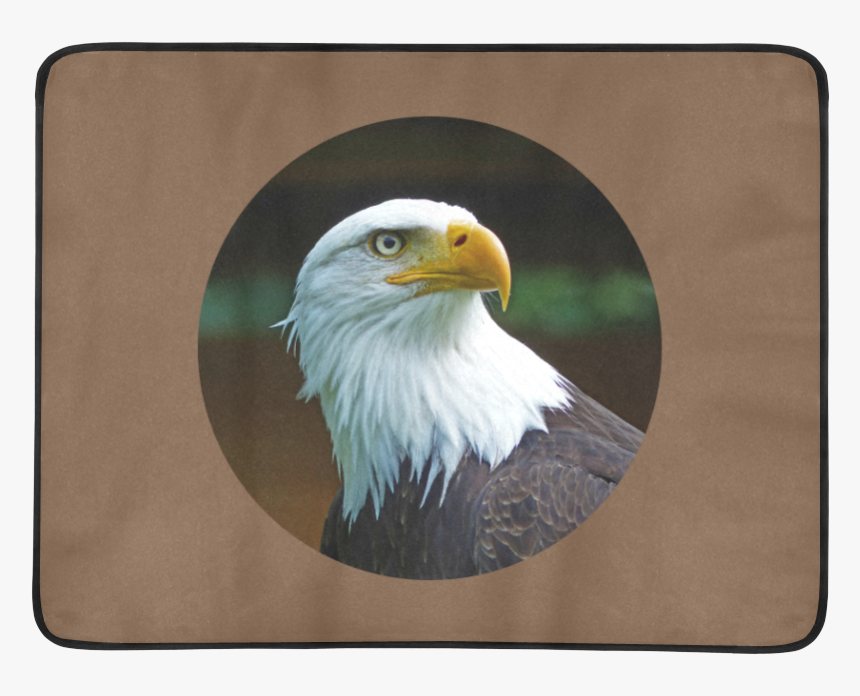 Bald Eagle Head 001 03 Rd Beach Mat 78 X 60 - American Bald Eagle Head, HD Png Download